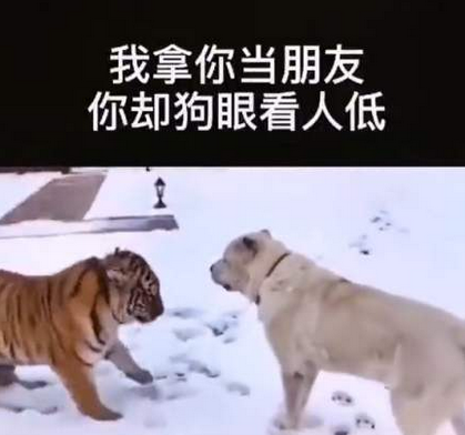 快手