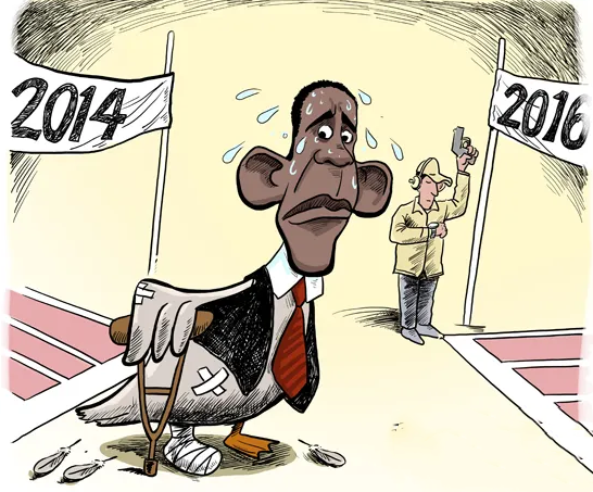 election