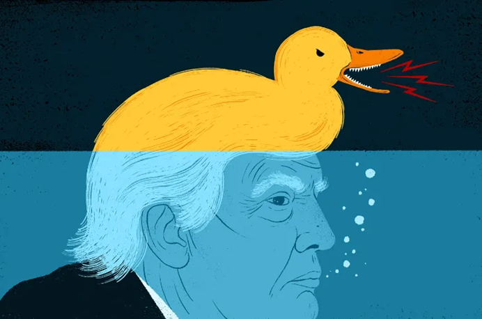 election