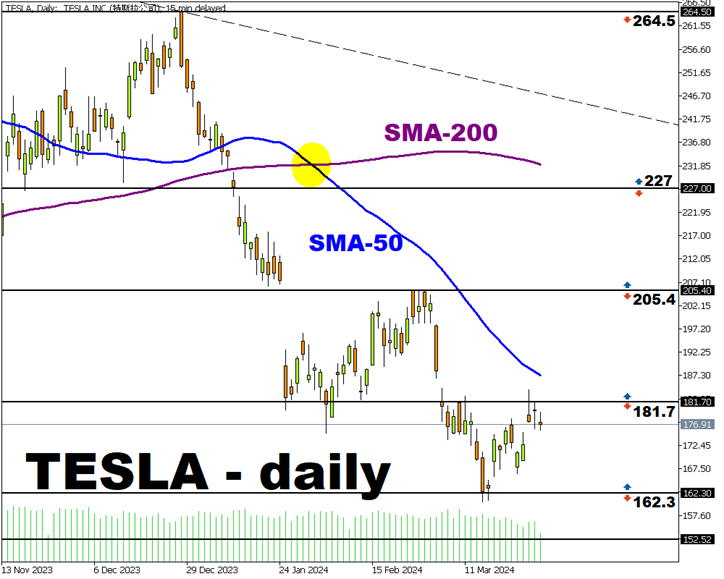 tsla 3